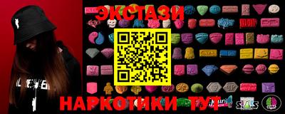 стаф Бердск