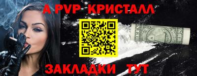 стаф Бердск
