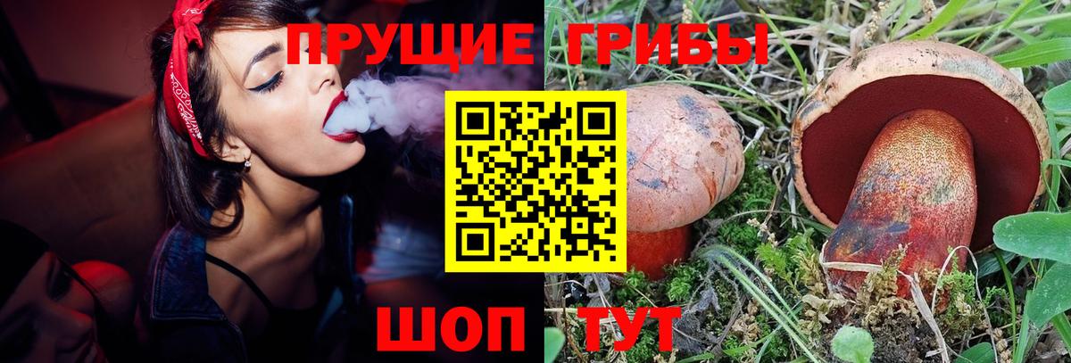 где купить наркоту  Псилоцибиновые грибы Cubensis  Вход с VPN  Артёмовский 